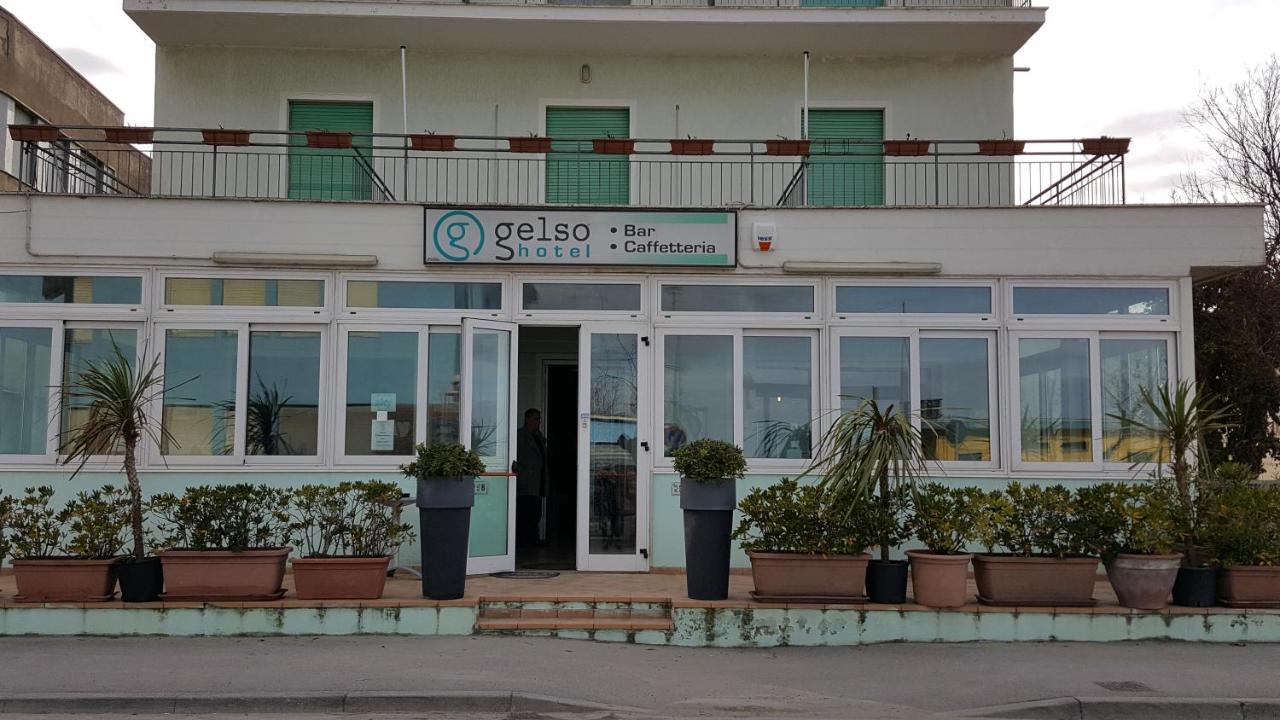 Gelso